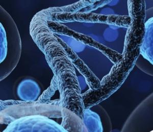 info@chemical-world.to