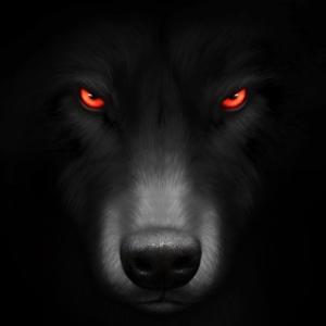 Wolfdopalamyznacie:E